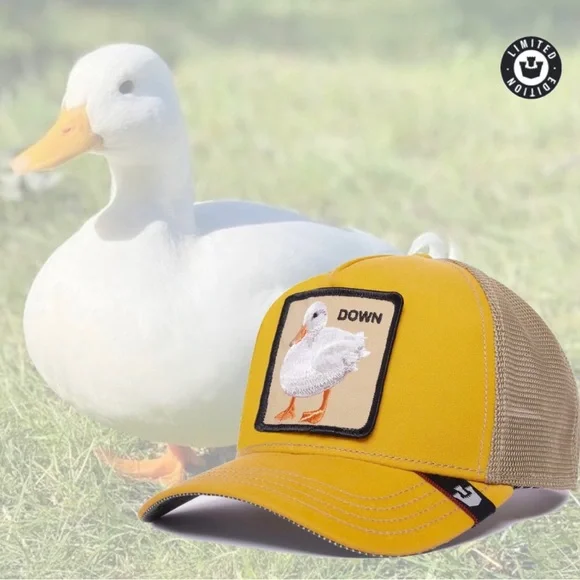 Goorin Bros | Accessories | Goorin Bros Down Limited 